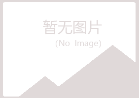 大新县吵闹能源有限公司